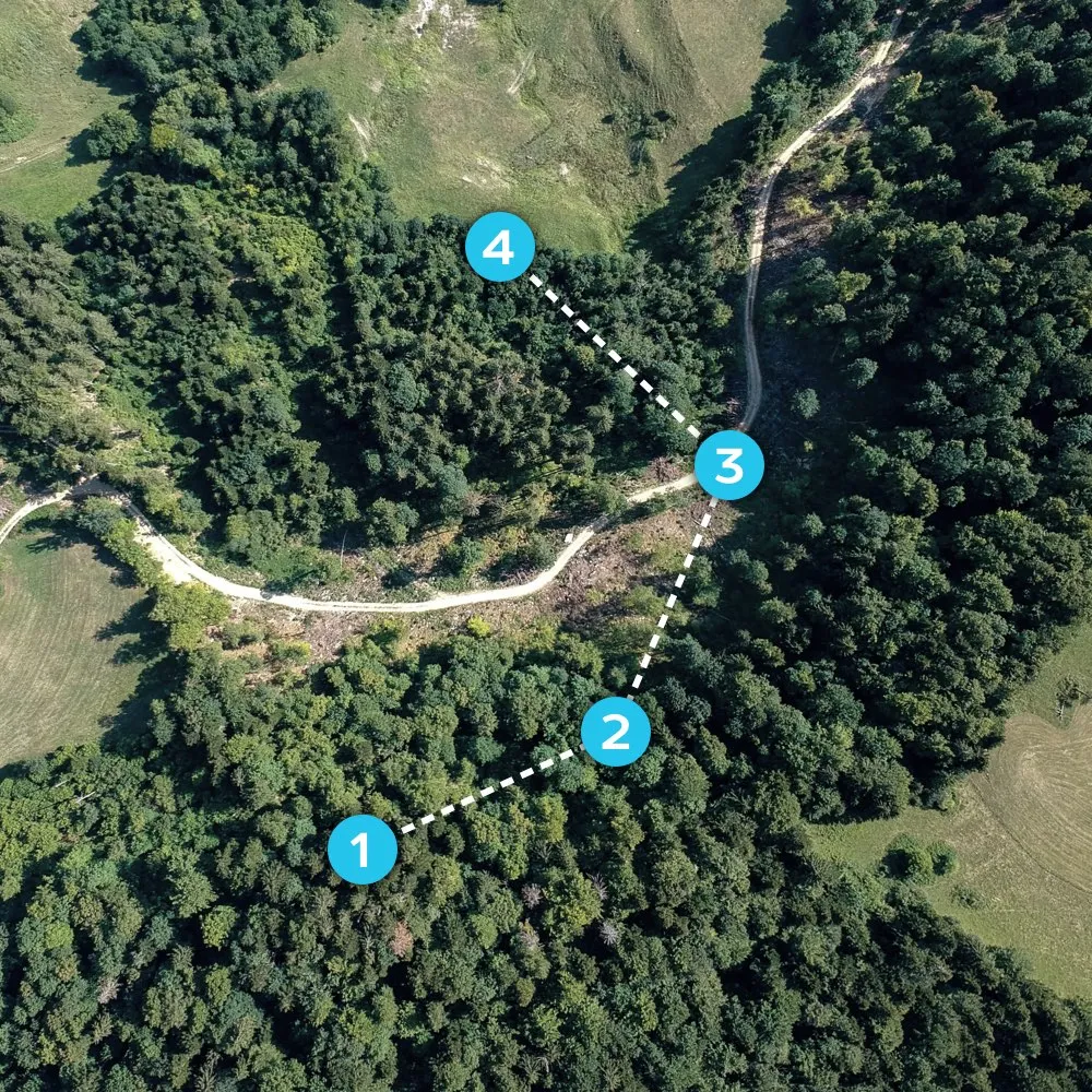 Luftaufnahme eines Waldgebietes mit Wegpunkten für automatisierten Drohnenflug.