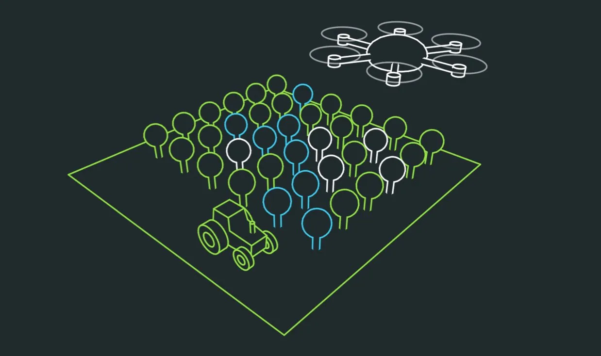Illustration : un drone enregistre l'état des plantes sur une grande surface agricole