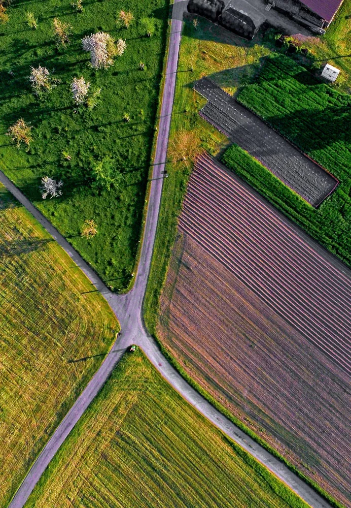 Vue aérienne de terres agricoles traversées par des chemins.